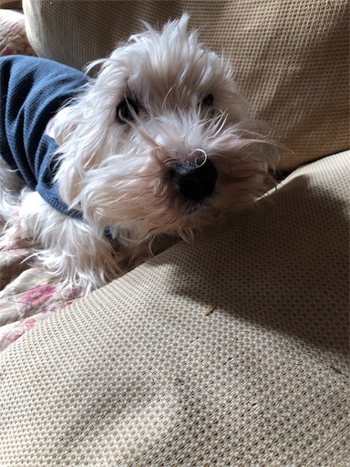f:id:sn23:20191220101558j:image
