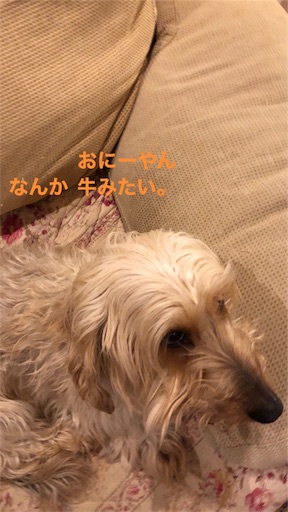 f:id:sn23:20191222114203j:image