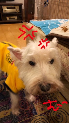 f:id:sn23:20191222114209j:image