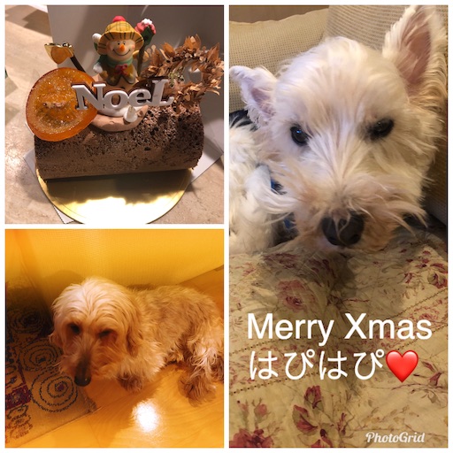 f:id:sn23:20191226181624j:image