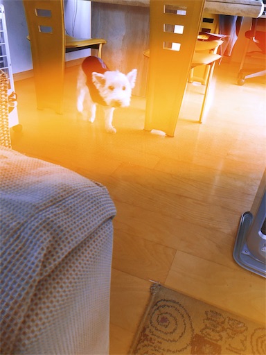 f:id:sn23:20191228230857j:image