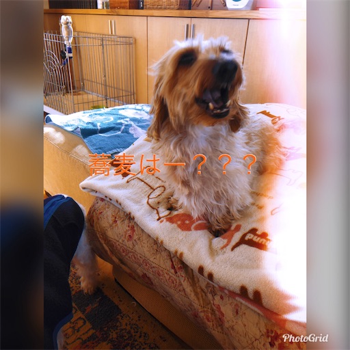 f:id:sn23:20191231213510j:image