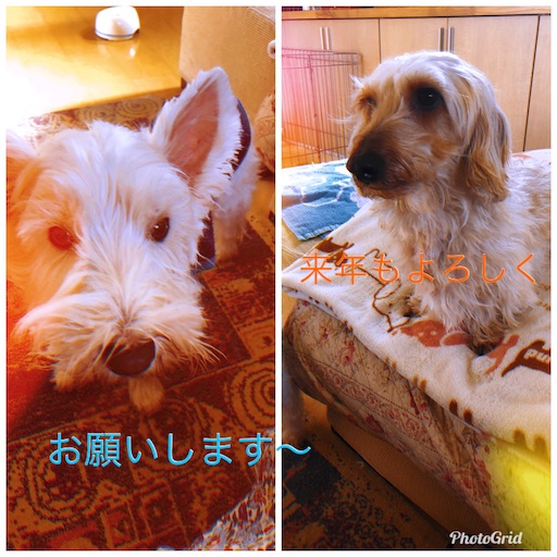 f:id:sn23:20191231213641j:image