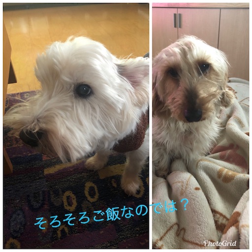 f:id:sn23:20200113193347j:image