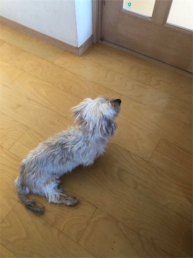 f:id:sn23:20200114232024j:image
