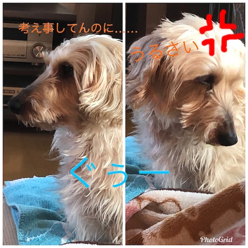 f:id:sn23:20200119224704j:image