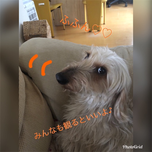f:id:sn23:20200125204830j:image