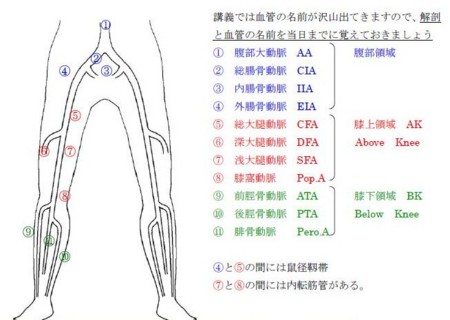 Mo' Money @ Okinawa 「最小限の照明」にしてみました。 「とんスキ」にハマってました。 危険生物「カツオノカンムリ」 おしゃべり猫ちゃん 那覇空港のセキュリティはゆるゆるです。 社会の教科書ここが変わった 隠れ身の術 吉野家・優待券 ユナイテッド・スーパー・優待案内 SFP・優待券 良品計画・シェアホルダーカード ネオジャパン・最後のクオカード 宝くじを買う人 北日本銀行・株主優待カタログ モノタロウから商品が届きました。