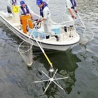 f:id:sna59717:20120611041856j:image f:id:sna59717:20120611041856j:image