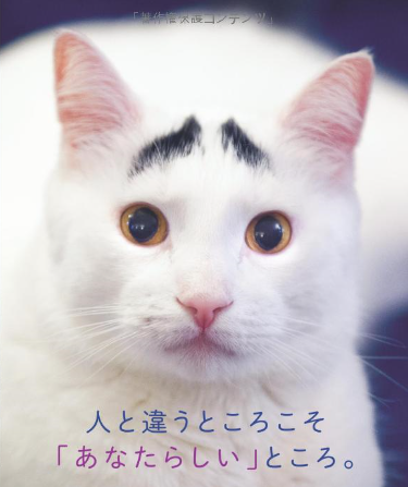 f:id:sna59717:20190115175234p:plain f:id:sna59717:20190115175234p:plain