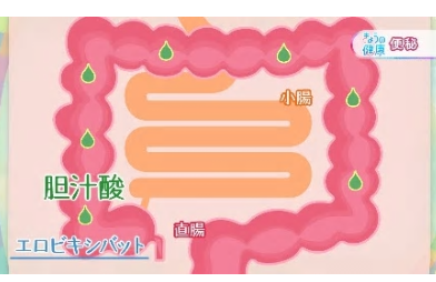 f:id:sna59717:20190715122005p:plain f:id:sna59717:20190715122005p:plain