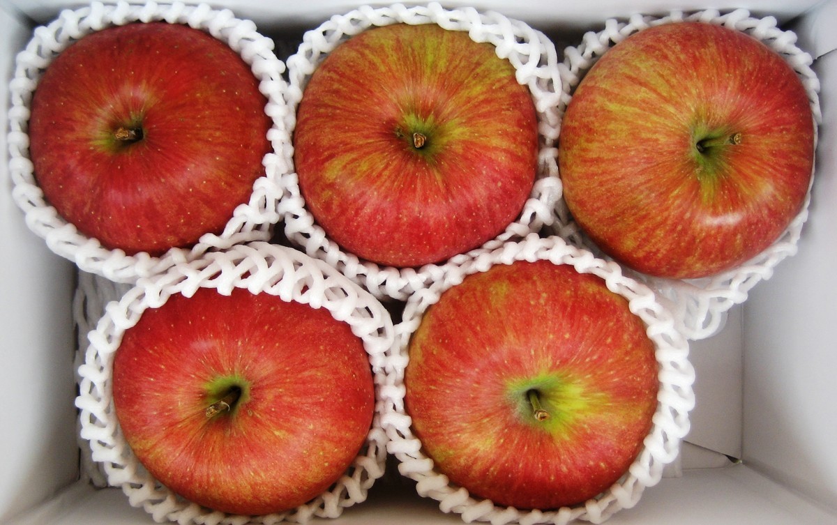 f:id:sna59717:20201023143244j:plain