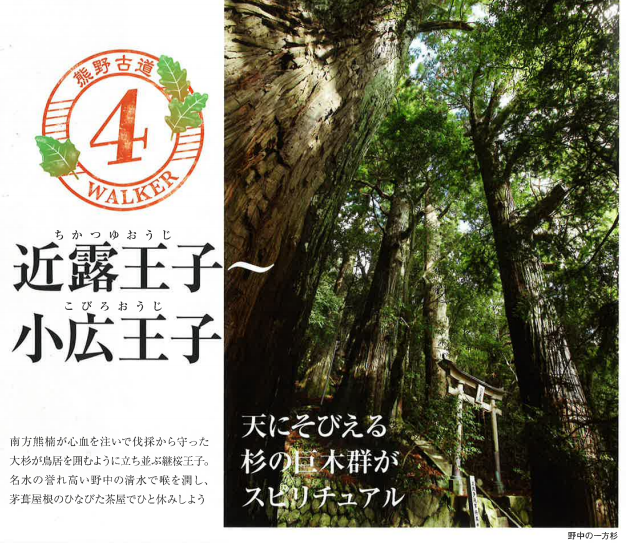 f:id:sna59717:20210116121255p:plain