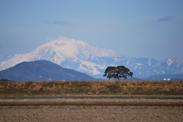 近江百山 近江百山 - 株式会社ナカニシヤ出版