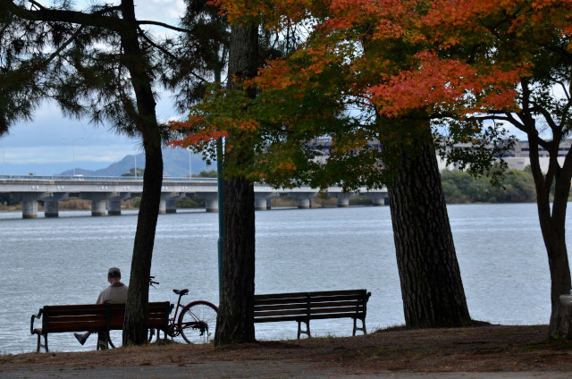 『京都新聞写真コンテスト 膳所公園の秋その１』