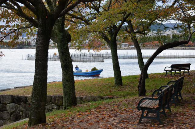『京都新聞写真コンテスト 膳所公園の秋その２』