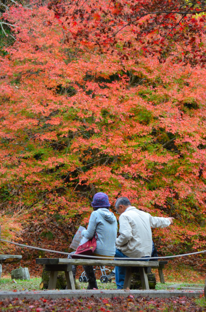 『京都新聞写真コンテスト 鶏足寺』