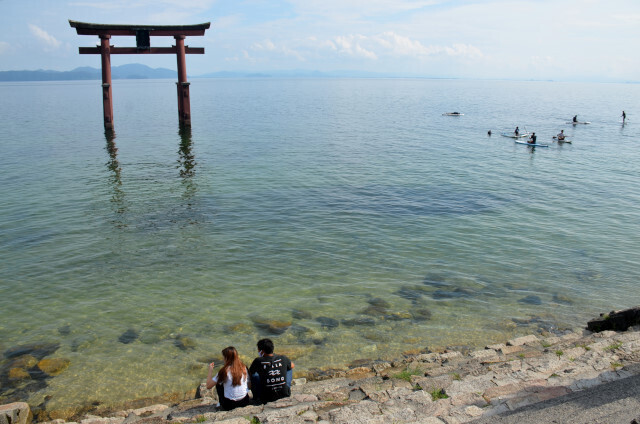 近江の夏 - 京・近江の写真 春夏秋冬