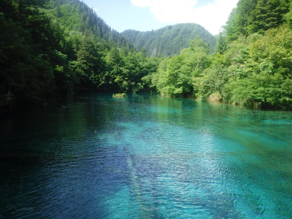 f:id:snail_traveler:20170701111542j:plain f:id:snail_traveler:20170701111542j:plain
