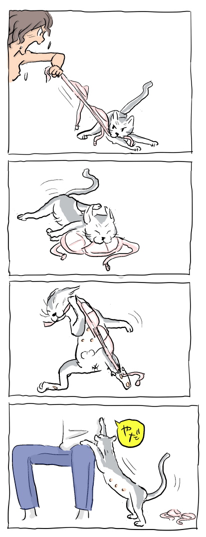 f:id:snakefinger:20090413210138j:image