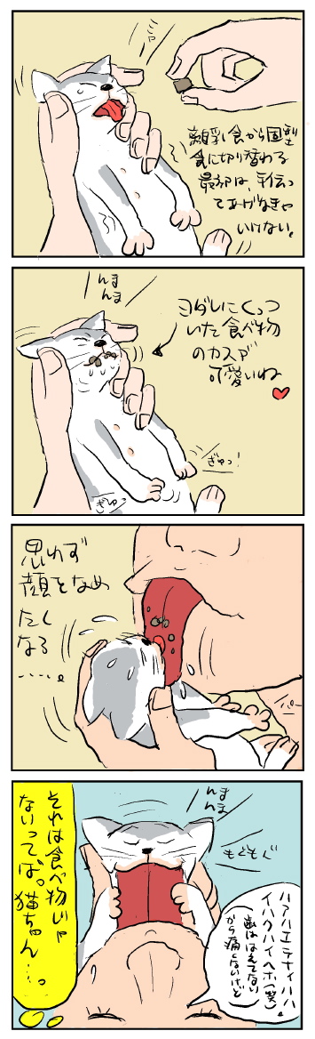 f:id:snakefinger:20090413210307j:image