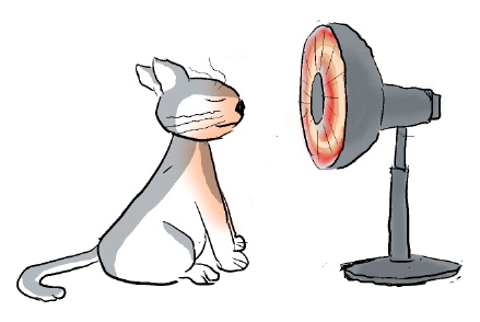 f:id:snakefinger:20090413212736j:image