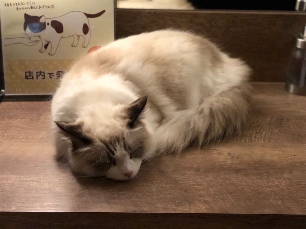 f:id:snbs3n:20190121221355j:image f:id:snbs3n:20190121221355j:image