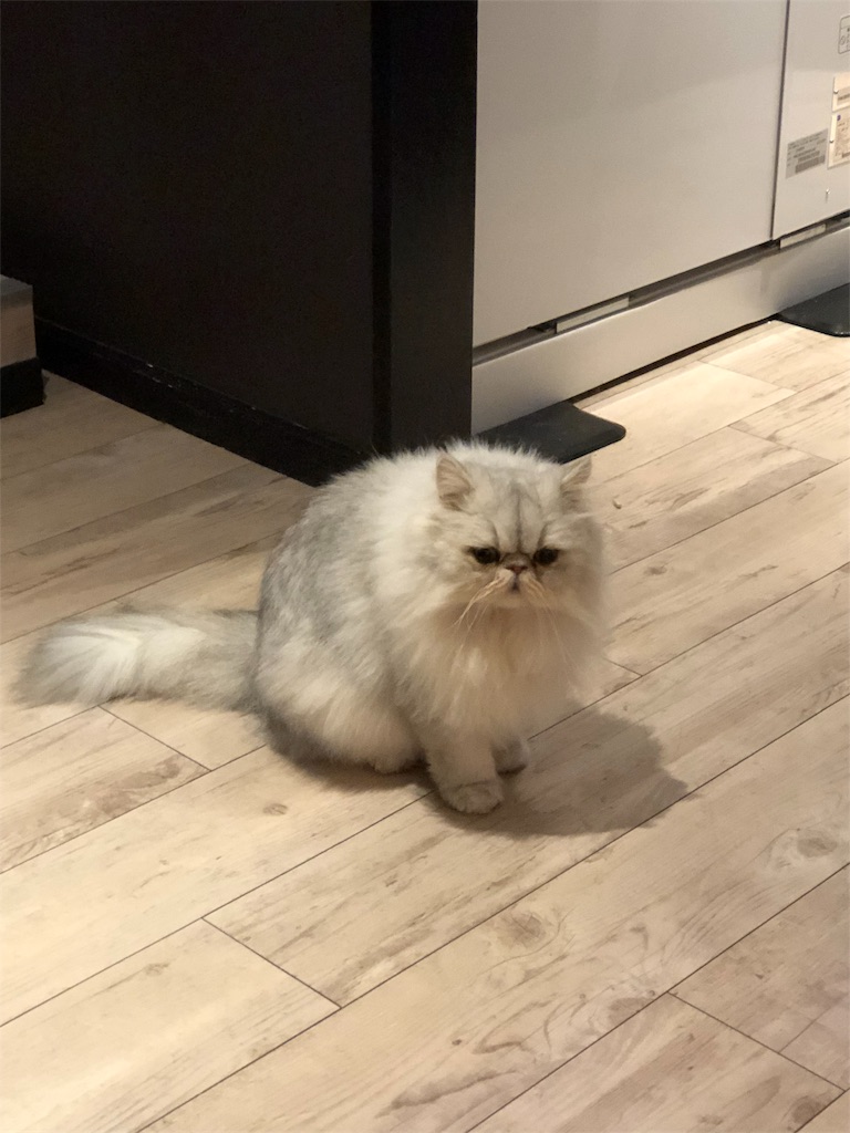 f:id:snbs3n:20190121221746j:image f:id:snbs3n:20190121221746j:image