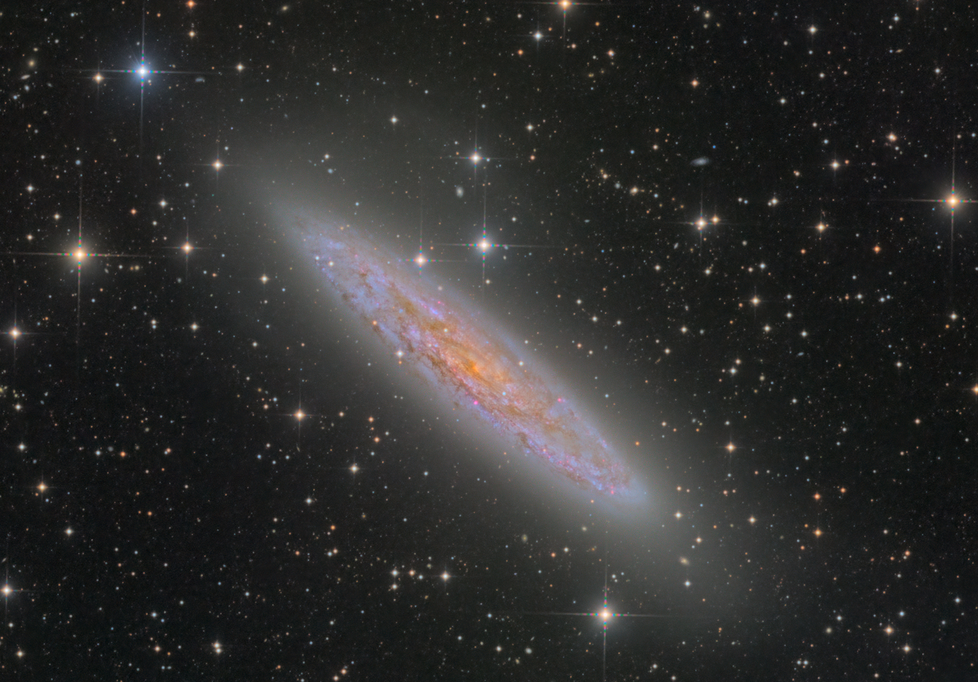 チリリモート作品第一号：NGC253銀河 - 天文はかせ幕下