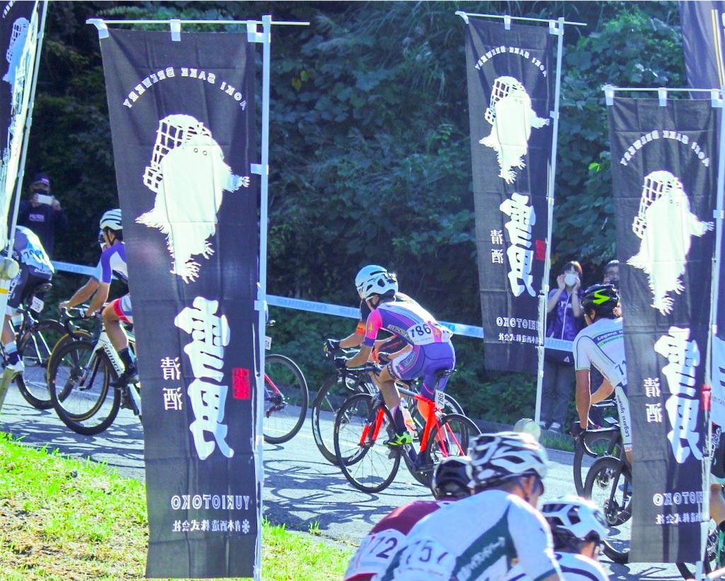 f:id:sneakattackersangalearner:20210921235153j:image