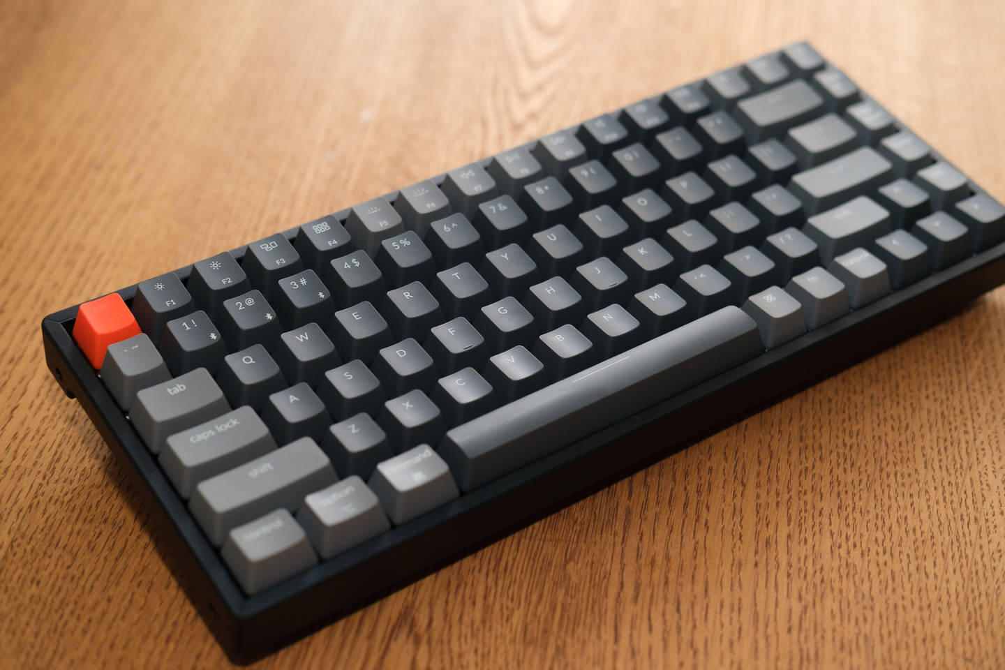 f:id:sngrpx:20200119135219j:plain f:id:sngrpx:20200119135219j:plain