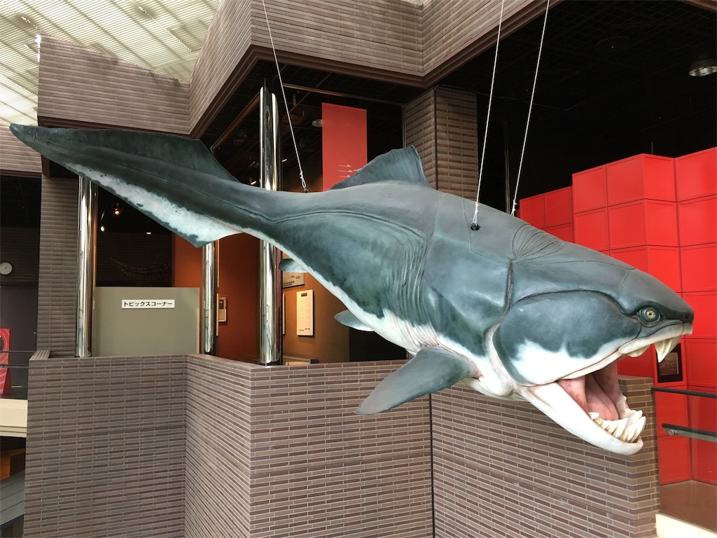 f:id:snk55puwtnu:20180723224055j:image f:id:snk55puwtnu:20180723224055j:image