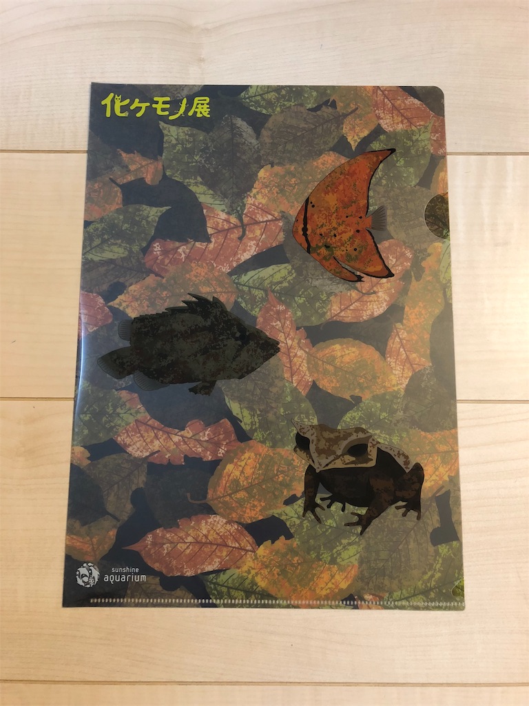 f:id:snk55puwtnu:20181106172516j:image f:id:snk55puwtnu:20181106172516j:image