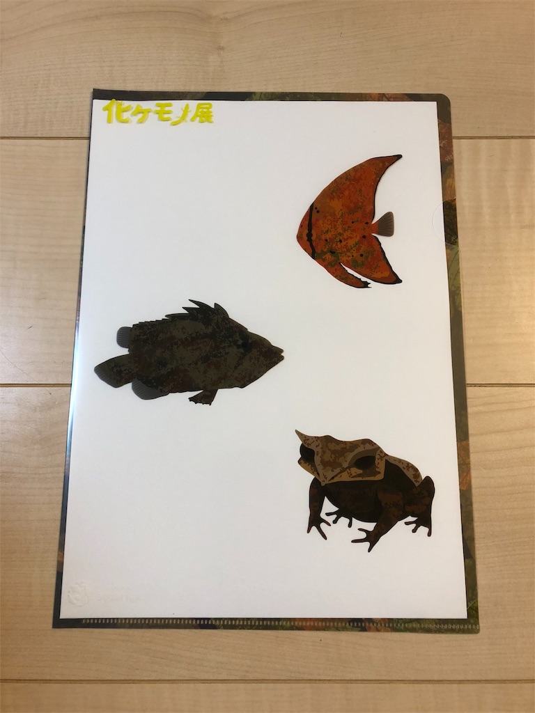 f:id:snk55puwtnu:20181106172524j:image f:id:snk55puwtnu:20181106172524j:image