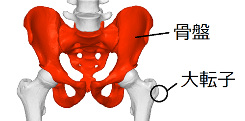 f:id:snns1029:20160619104417p:plain