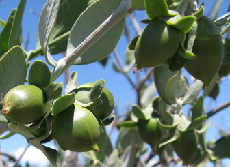 f:id:snns1029:20160804102808p:plain