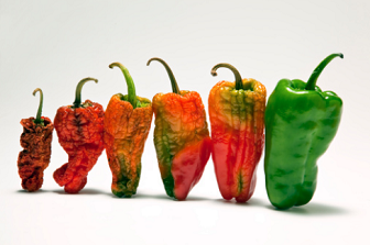 f:id:snns1029:20160804103453p:plain