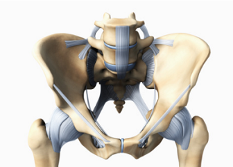 f:id:snns1029:20160806115820p:plain