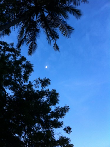 f:id:snoda9782142:20120502183828j:image:w360