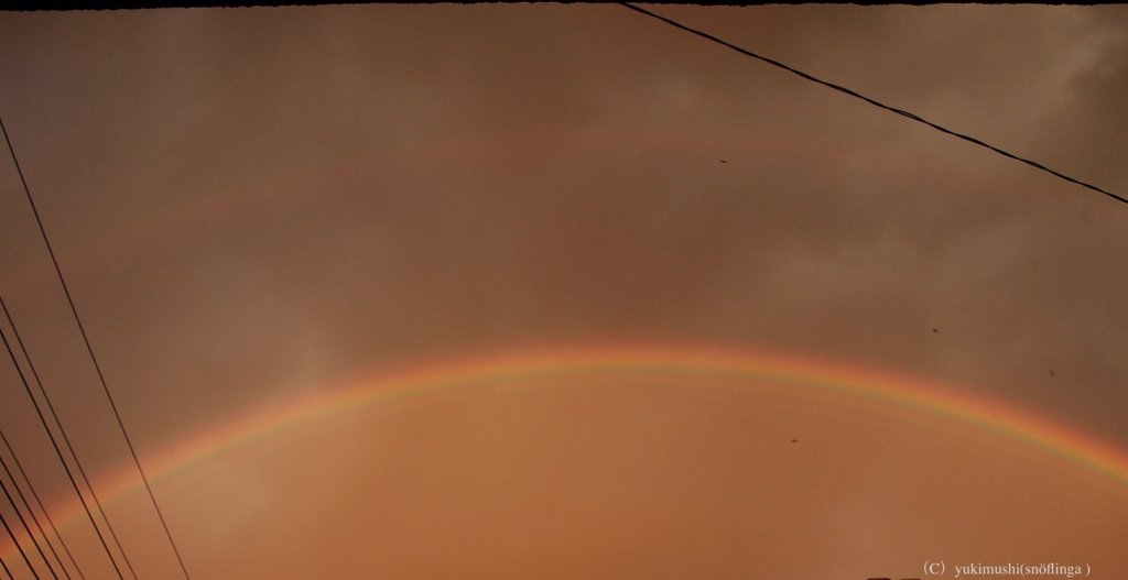 f:id:snoflinga_and:20160728224727j:plain f:id:snoflinga_and:20160728224727j:plain