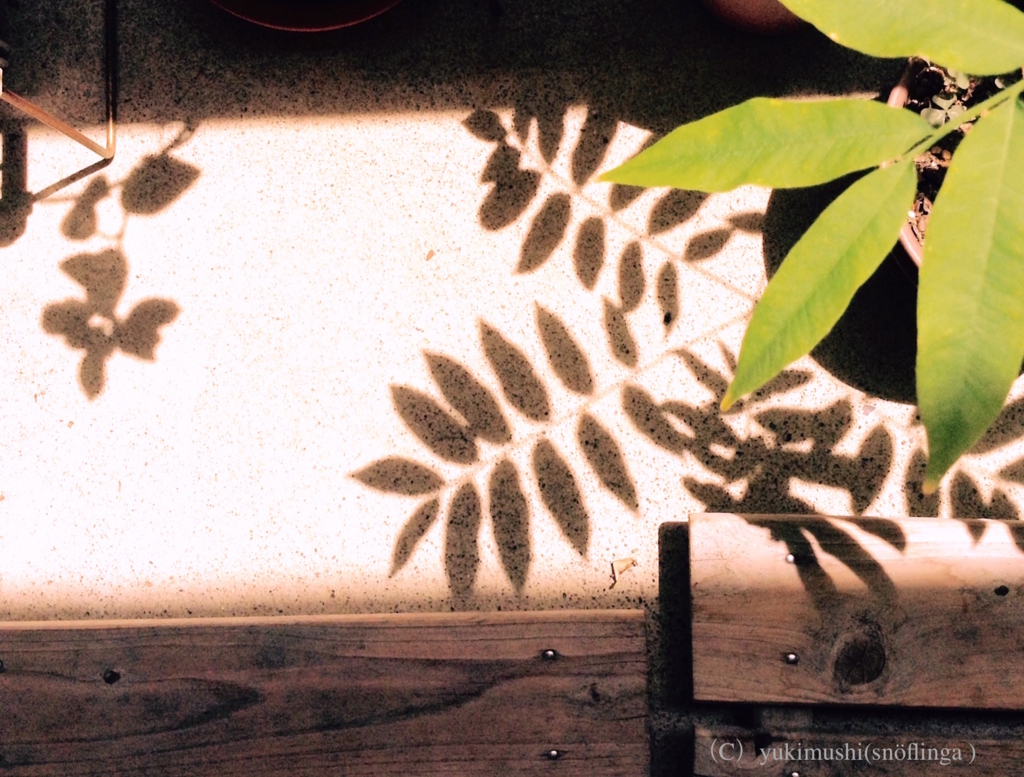 f:id:snoflinga_and:20160809141825j:plain f:id:snoflinga_and:20160809141825j:plain