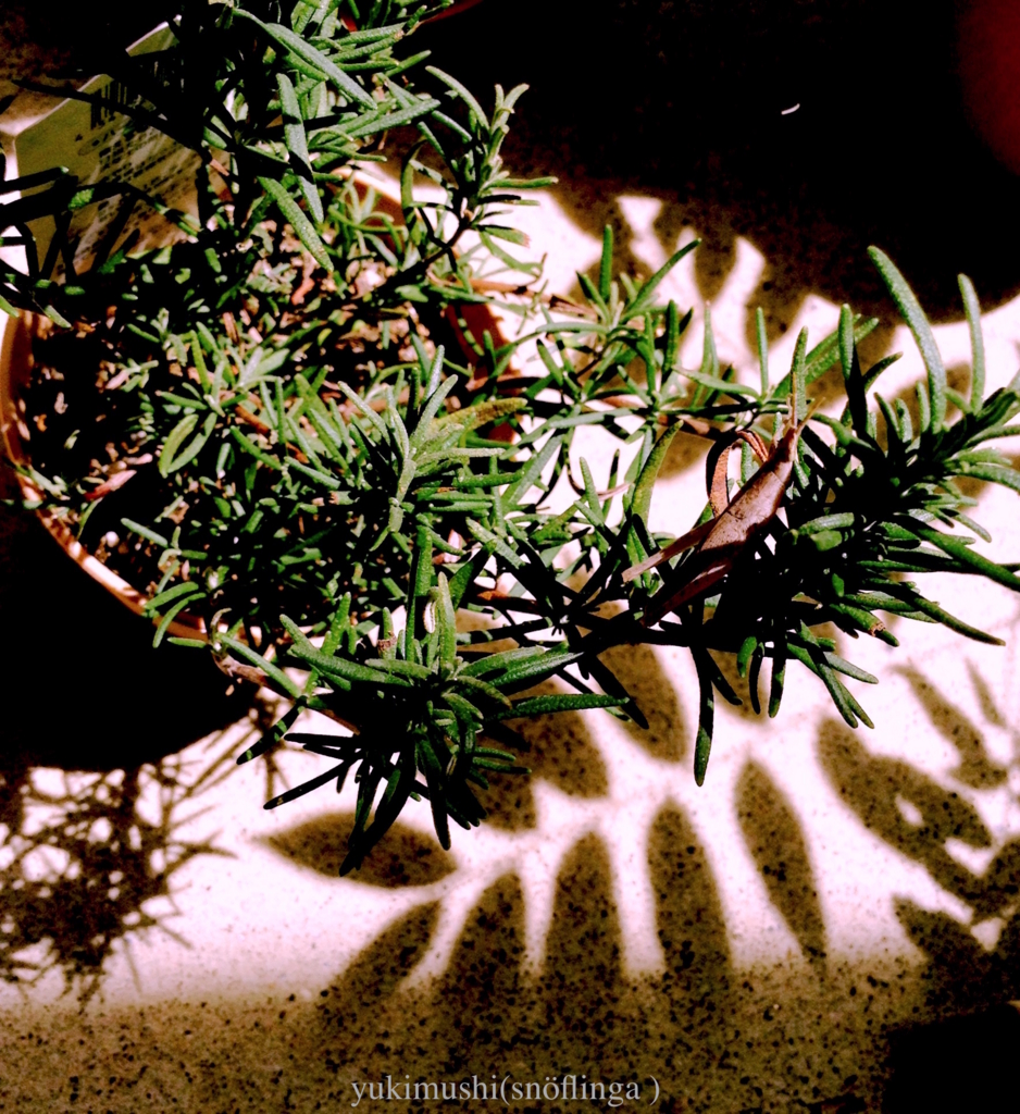 f:id:snoflinga_and:20160809142225j:plain f:id:snoflinga_and:20160809142225j:plain