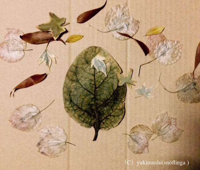 f:id:snoflinga_and:20160824223434j:plain