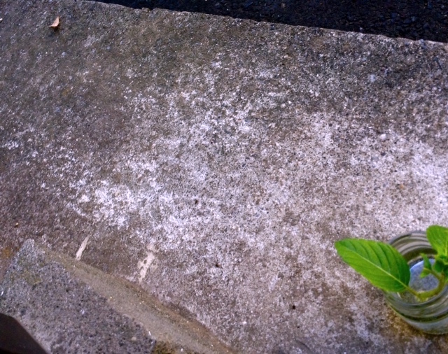 f:id:snoflinga_and:20160904210357j:plain