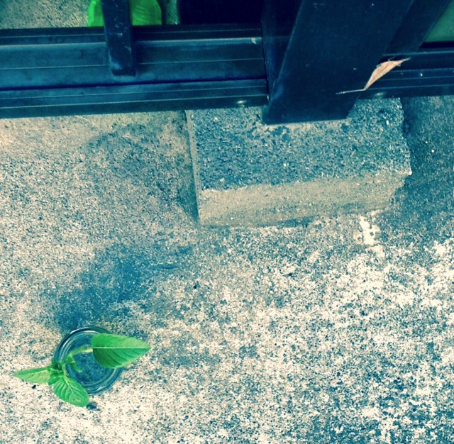 f:id:snoflinga_and:20160904210649j:plain