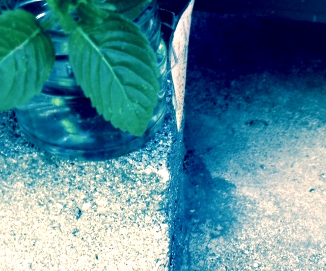 f:id:snoflinga_and:20160904210948j:plain