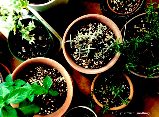 f:id:snoflinga_and:20160909183649j:plain f:id:snoflinga_and:20160909183649j:plain