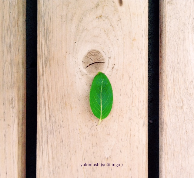 f:id:snoflinga_and:20161212204634j:plain