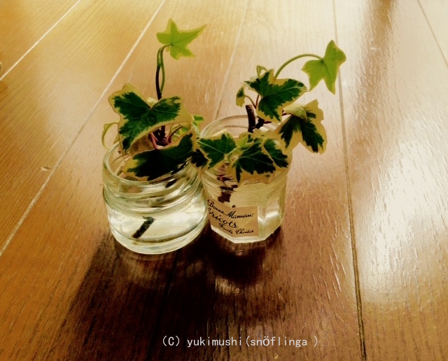 f:id:snoflinga_and:20170227203154j:plain