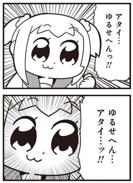 f:id:snofra:20161113102529p:plain